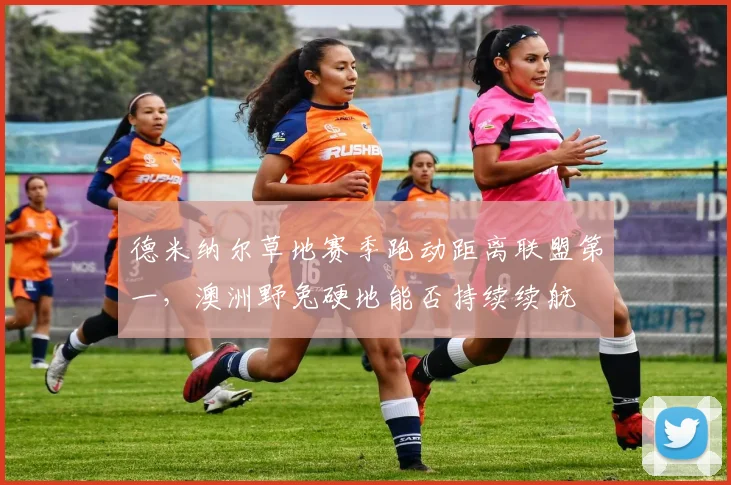 德米纳尔草地赛季跑动距离联盟第一,澳洲野兔硬地能否持续续航