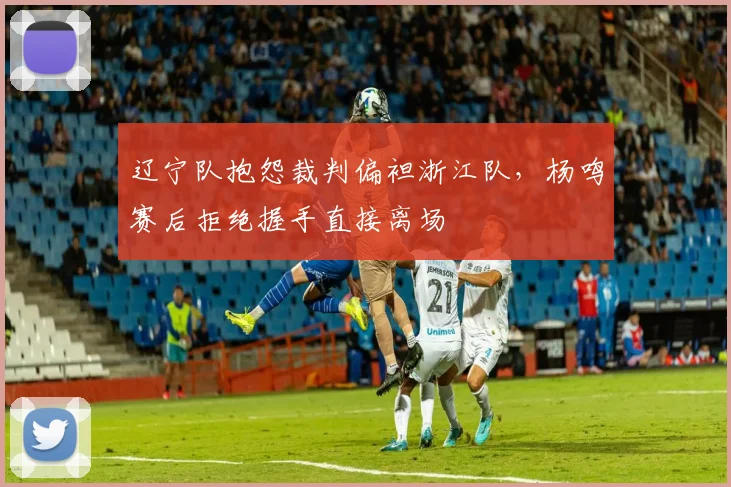 辽宁队抱怨裁判偏袒浙江队,杨鸣赛后拒绝握手直接离场